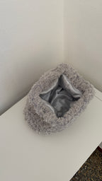 Andromeda Teddy Grigio perla